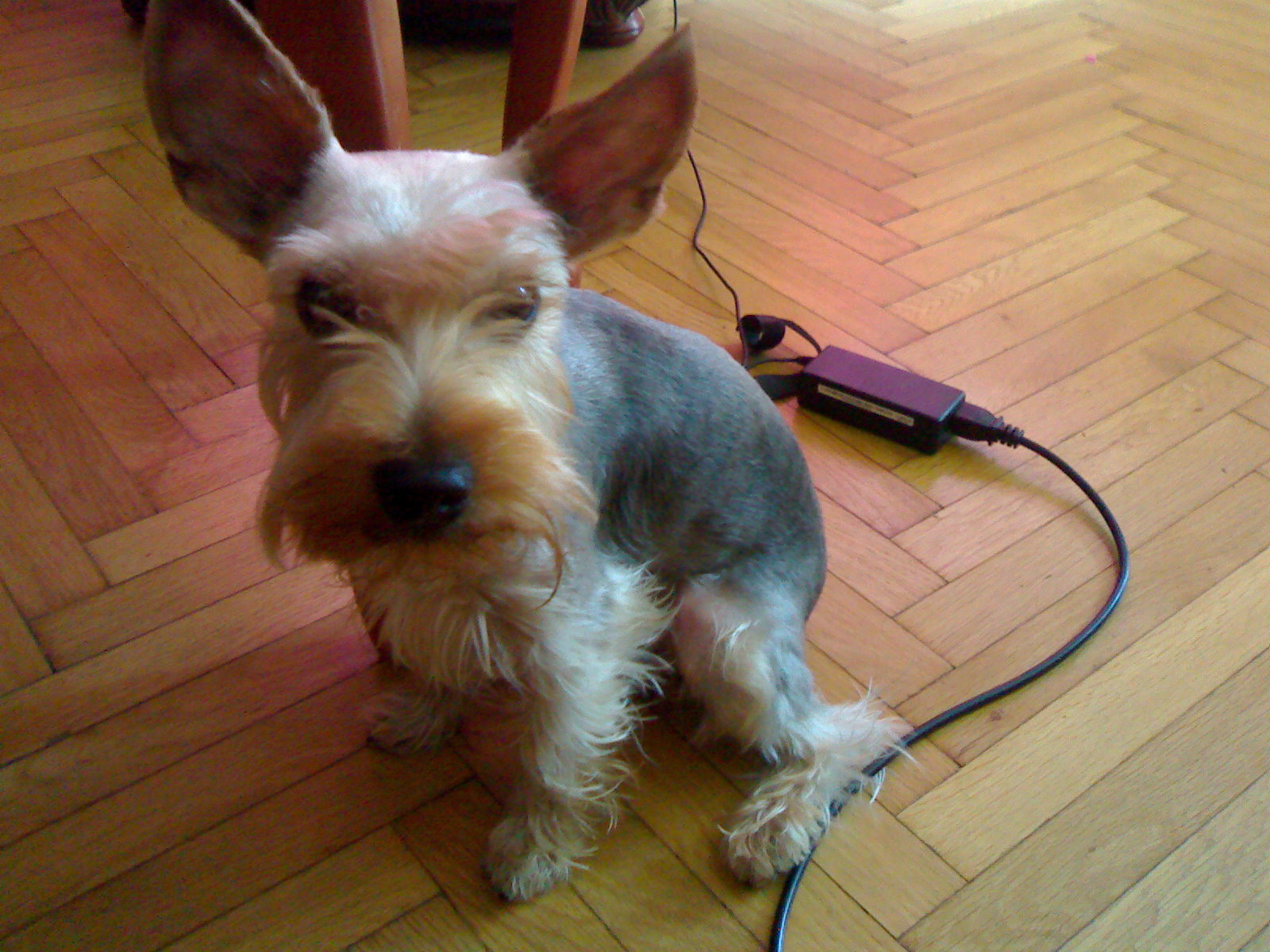 15062007193.jpg