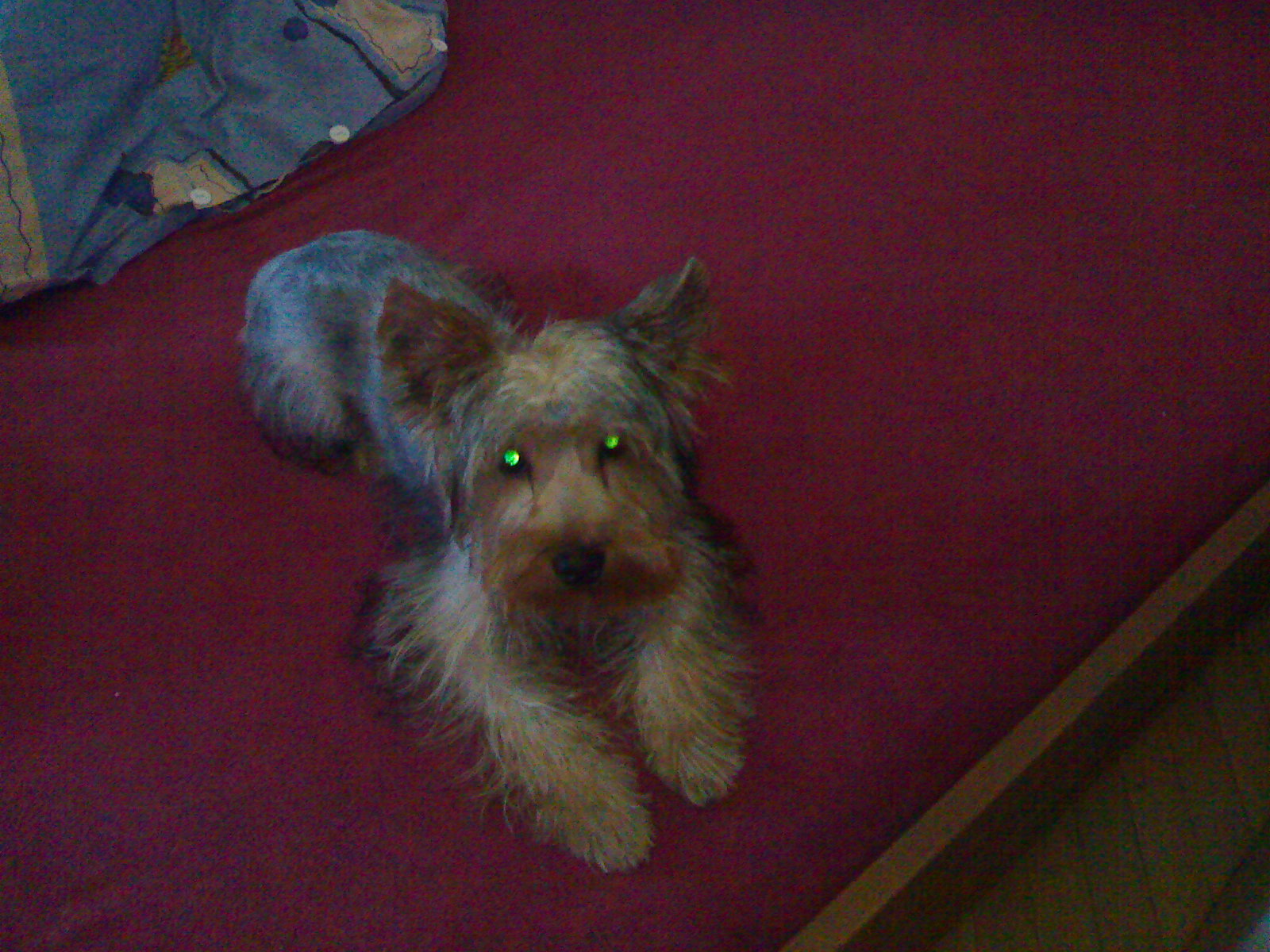 12012007081.jpg