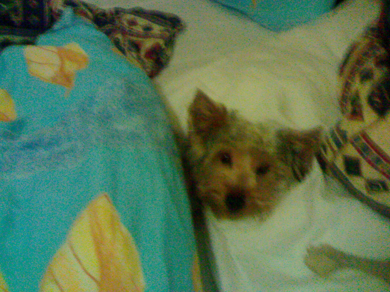 22012007112.jpg